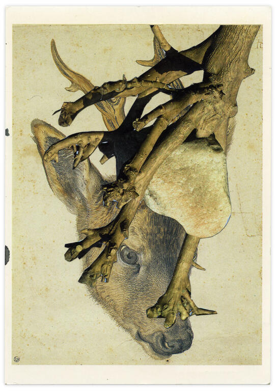 Catalogue raisonné, Henri Foucault, Double jeu, Albrecht Durer - 2022