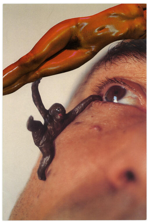 Catalogue raisonné, Henri Foucault, Double jeu, Pierre Tilman - 2023