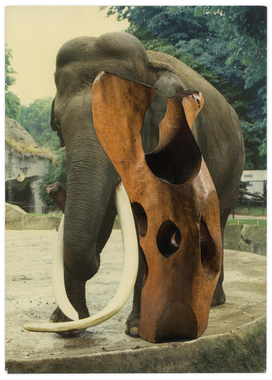 Catalogue raisonné, Henri Foucault, Double jeu, Jean-Luc Vilmouth - 2023