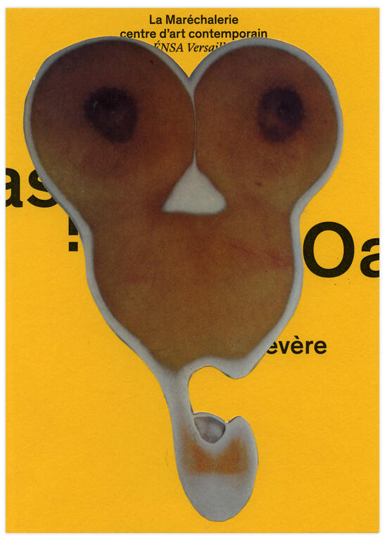 Catalogue raisonné, Henri Foucault, Double jeu, Olivier Sévère - 2023