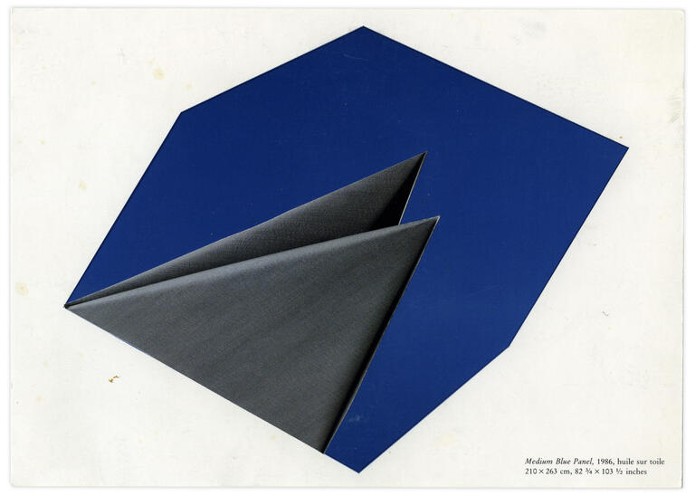 Catalogue raisonné, Henri Foucault, Double Jeu, Ellsworth Kelly - 2022