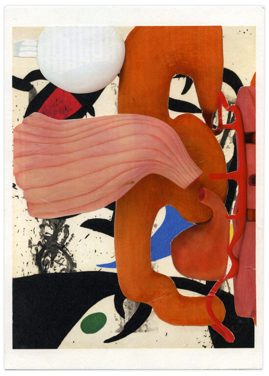 Catalogue raisonné, Henri Foucault, Double Jeu, Joan Miro, - 2022