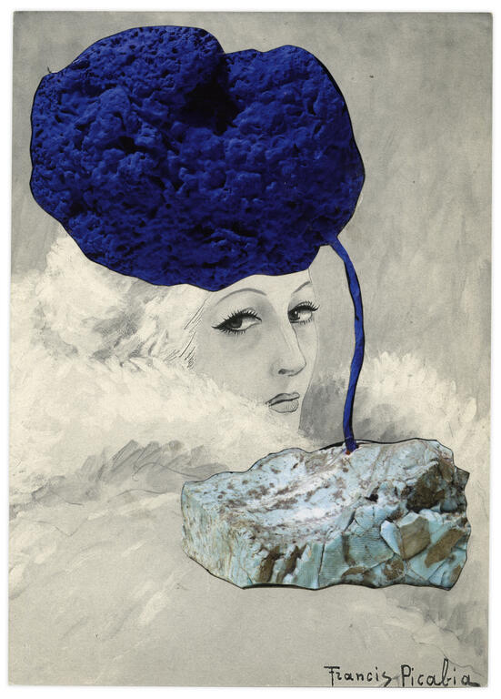 Catalogue raisonné, Henri Foucault, Double jeu, Francis Picabia - 2023