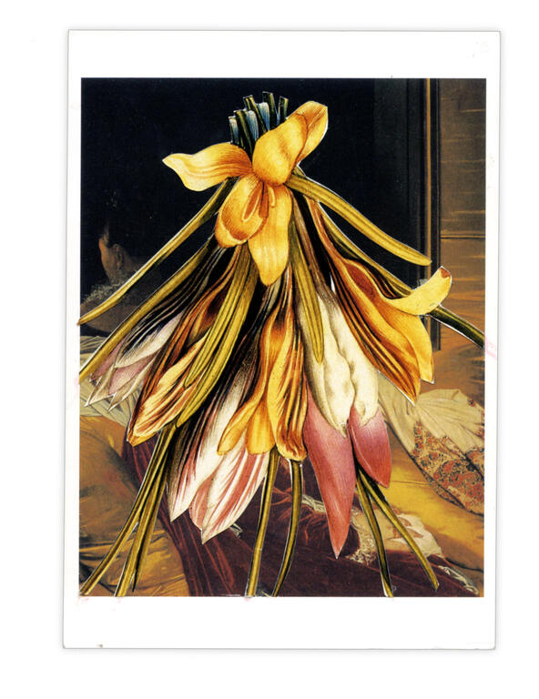 Catalogue raisonné, Henri Foucault, Double jeu, Jean-Auguste Ingres - 2023