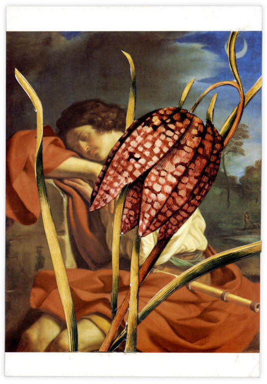 Catalogue raisonné, Henri Foucault, Double jeu, Guercino - 2023