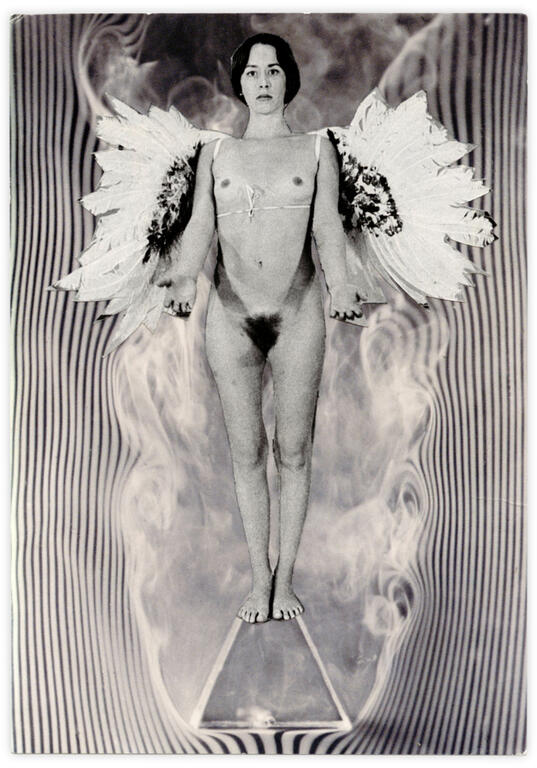 Catalogue raisonné, Henri Foucault, Double jeu, Étienne-Jules Marey - 2024