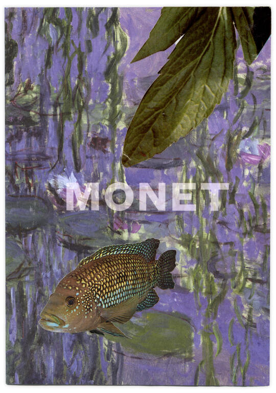 Catalogue raisonné, Henri Foucault, Double jeu, Fondation Louis Vuitton, Paris - 2024