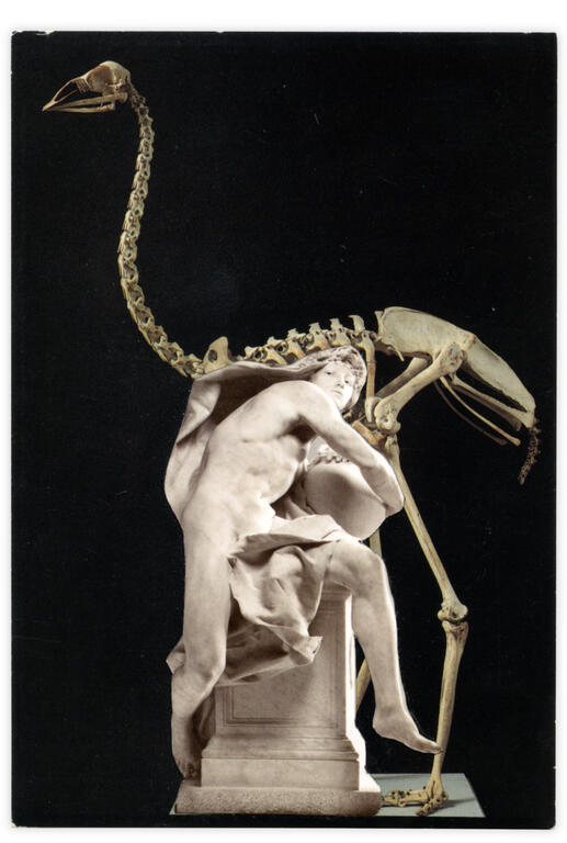 Catalogue raisonné, Henri Foucault, Double jeu, Scheletro di emu nano - 2024