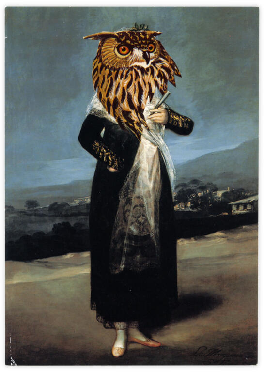 Catalogue raisonné, Henri Foucault, Double jeu, Francisco José de Goya - 2024