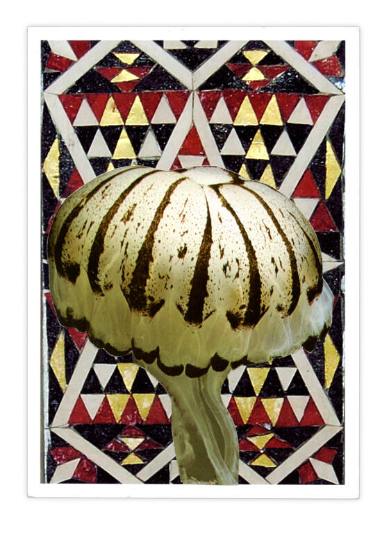 Catalogue raisonné, Henri Foucault, Double jeu, Florence - 2024