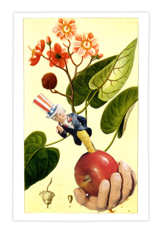 Catalogue raisonné, Henri Foucault, Double jeu, Rocouïr - 2024