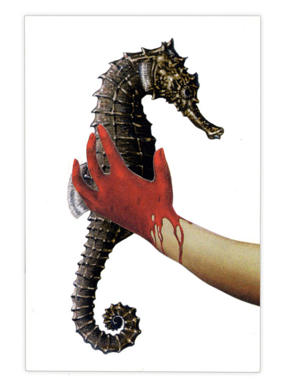 Catalogue raisonné, Henri Foucault, Double jeu, Hippocampus - 2024