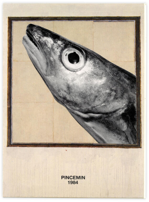 Catalogue raisonné, Henri Foucault, Double jeu, Jean-Pierre Pincemin - 2024