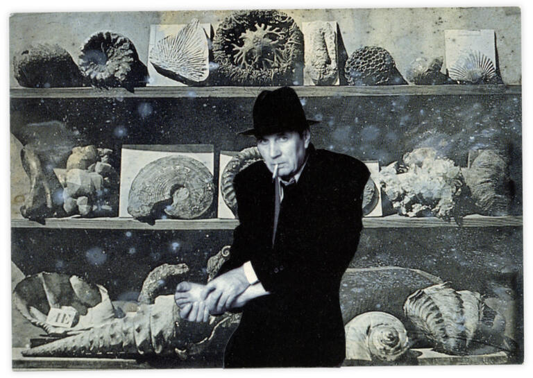 Catalogue raisonné, Henri Foucault, Double jeu, Louis Jacques Mandé Daguerre - 2024