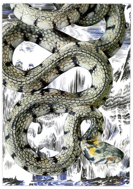 Catalogue raisonné, Henri Foucault, Double jeu, Fondation François Schneider, Wattwiller - 2025