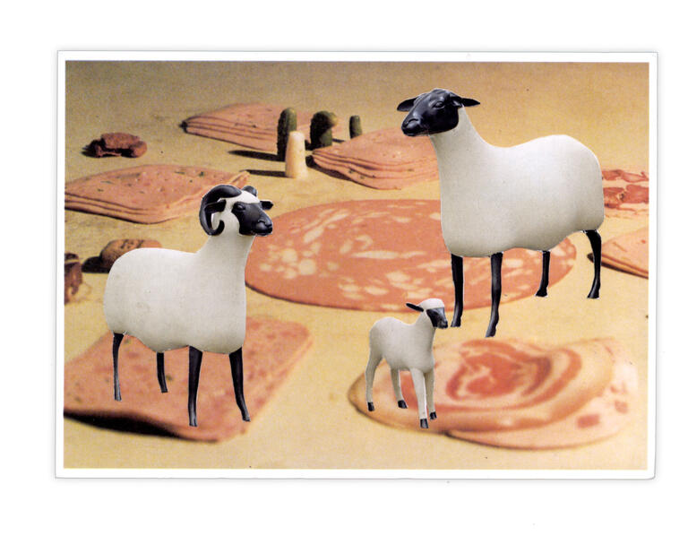 Catalogue raisonné, Henri Foucault, Double jeu, Peter Fischli & David Weiss - 2025