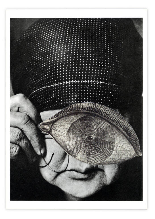 Catalogue raisonné, Henri Foucault, Double jeu, Alexandre Rodtchenko - 2025