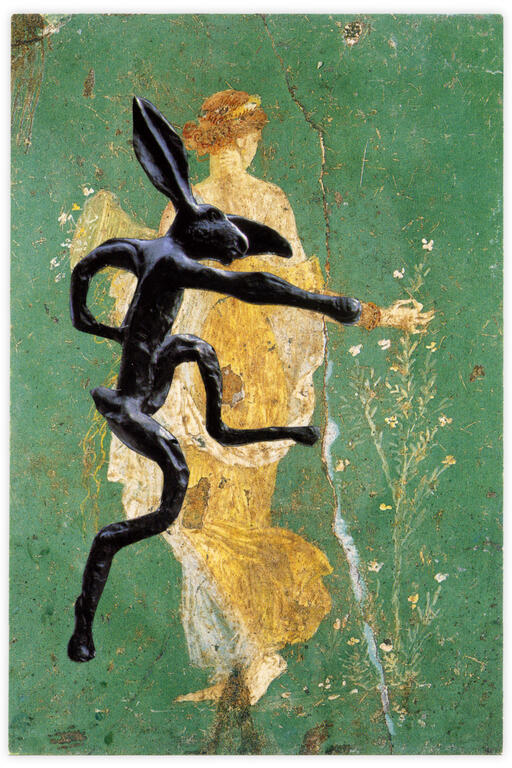 Catalogue raisonné, Henri Foucault, Double jeu, Flora - 2025