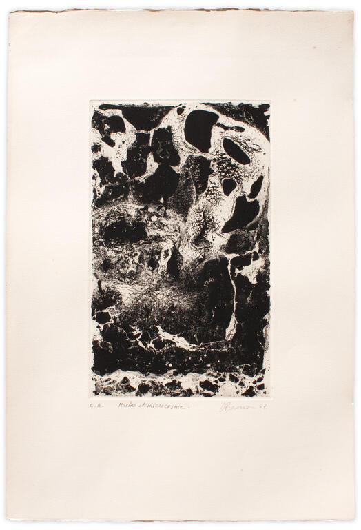 Catalogue raisonné, Henri Baviera, MACRO-MICROCOSME — 1961