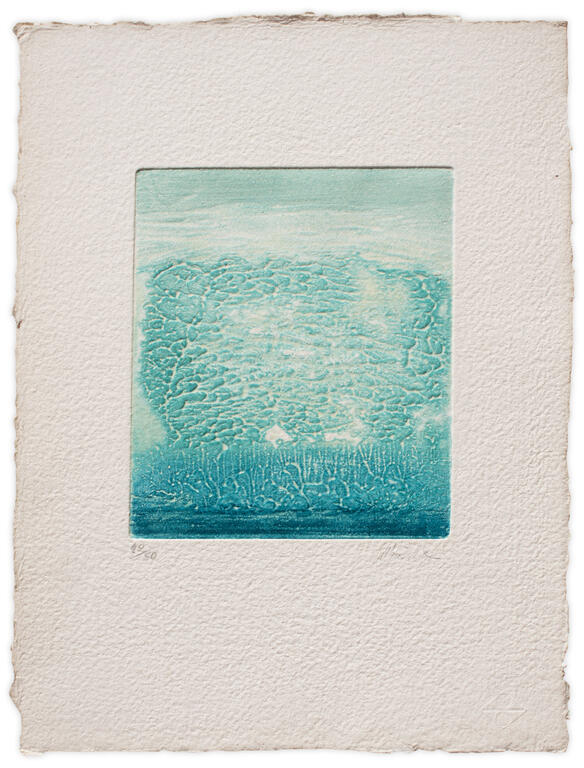 Catalogue raisonné, Henri Baviera, IRYSO — 1989