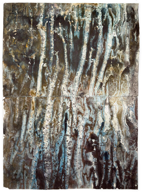 Catalogue raisonné, Daniel Boursin, 2F lichenologie — circa 2003