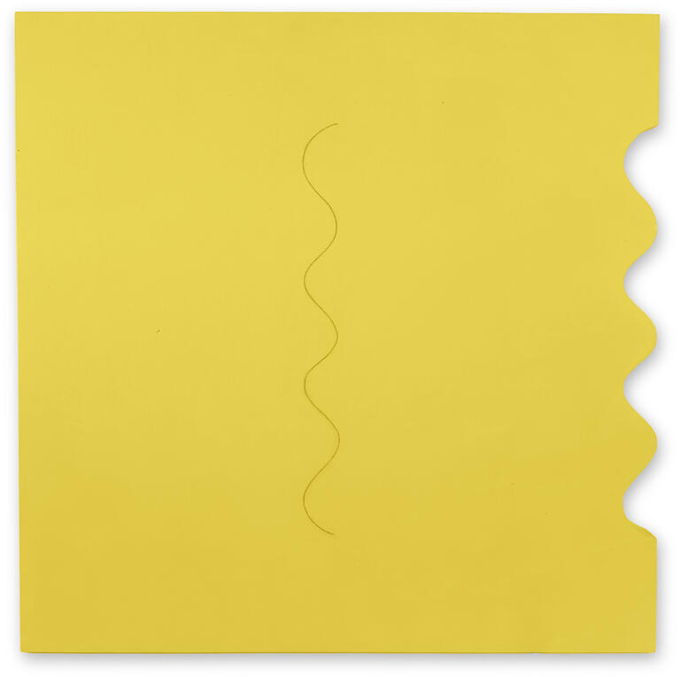 Catalogue raisonné, André Stempfel, Shéma ondulé — 2003