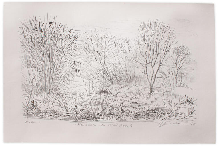Catalogue raisonné, Henri Baviera, ROSEAUX DU MALVAN — 1960
