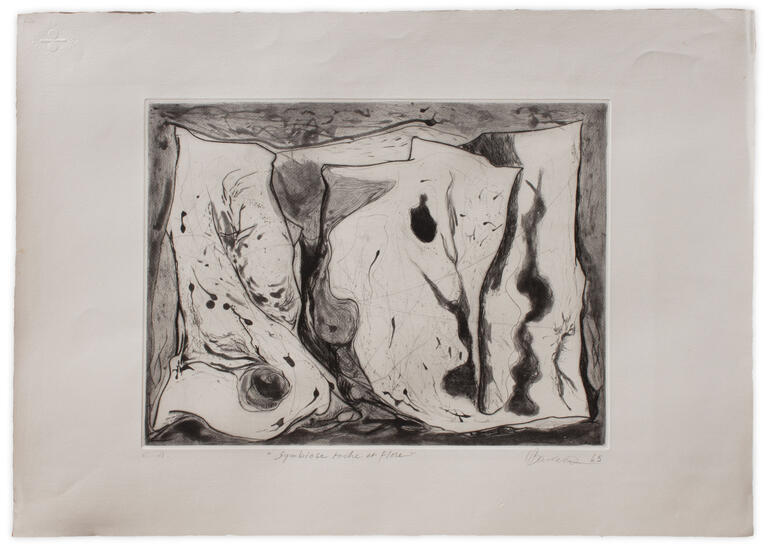 Catalogue raisonné, Henri Baviera, SYMBIOSE ROCHE ET FLORE — 1965