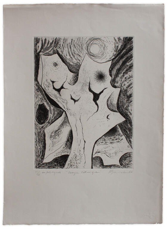 Catalogue raisonné, Henri Baviera, ENERGIE TÉLLURIQUE — 1966