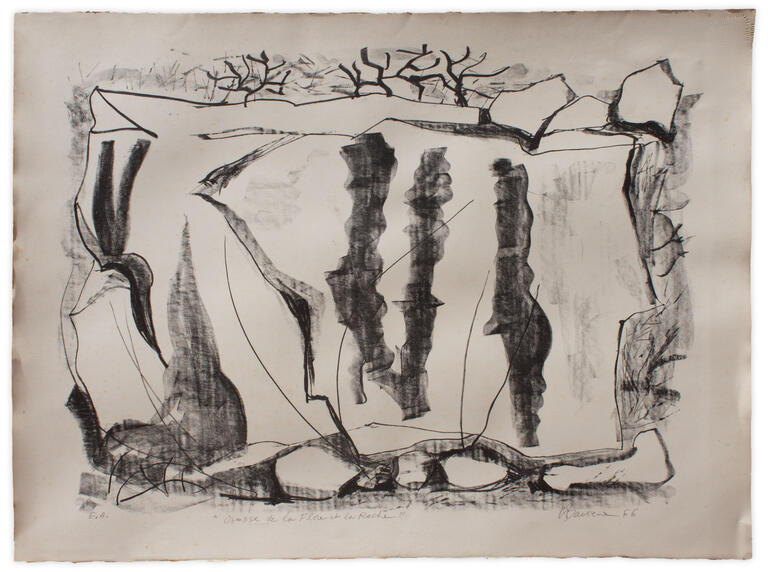 Catalogue raisonné, Henri Baviera, OSMOSE DE LA FLORE ET LA ROCHE — 1966