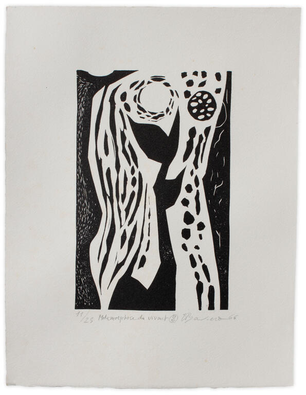 Catalogue raisonné, Henri Baviera, METAMORPHOSE DU VIVANT — 1966