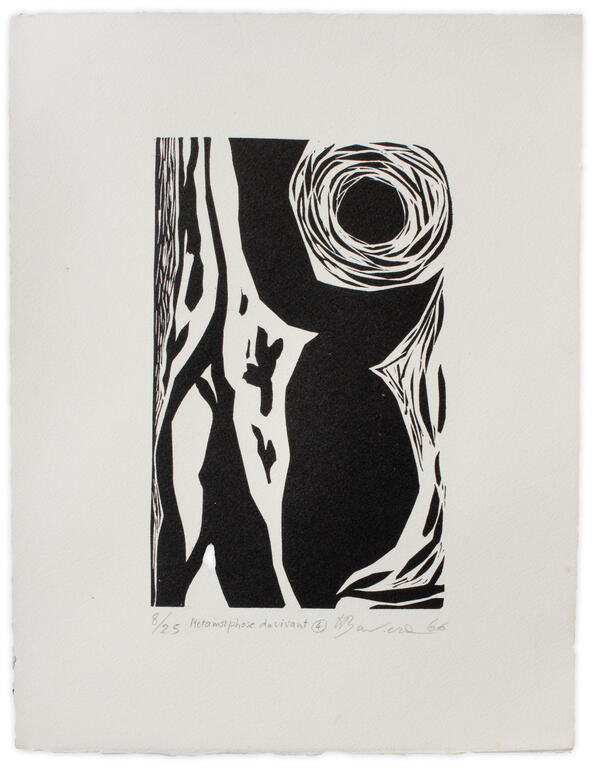 Catalogue raisonné, Henri Baviera, METAMORPHOSE DU VIVANT — 1966