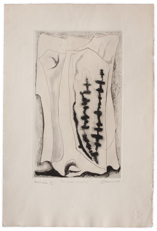 Catalogue raisonné, Henri Baviera, MINÉRAL - VÉGÉTAL — 1965