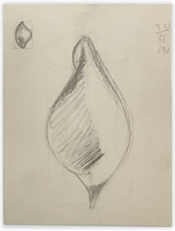 Catalogue raisonné, Etienne Beothy, Sans titre