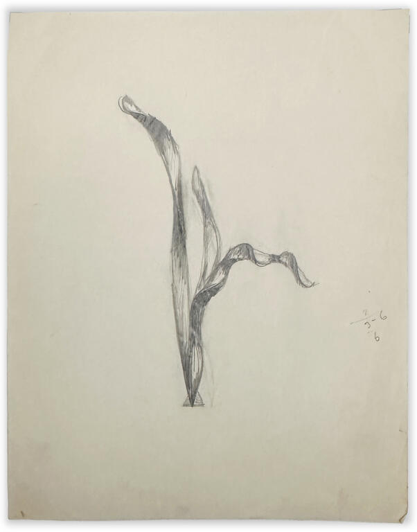 Catalogue raisonné, Etienne Beothy, Sans titre