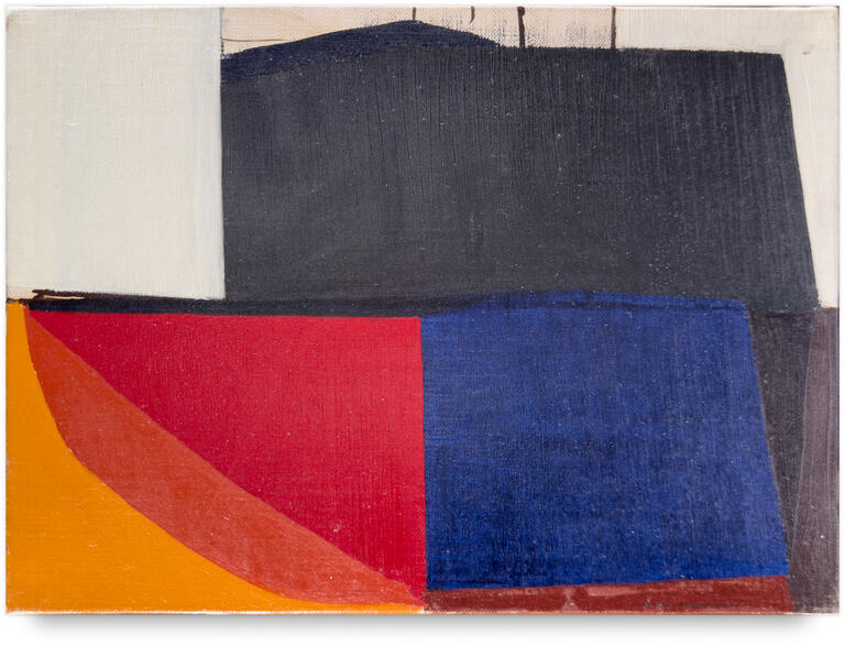 Catalogue raisonné, Michel Mousseau, Densifié, 1995