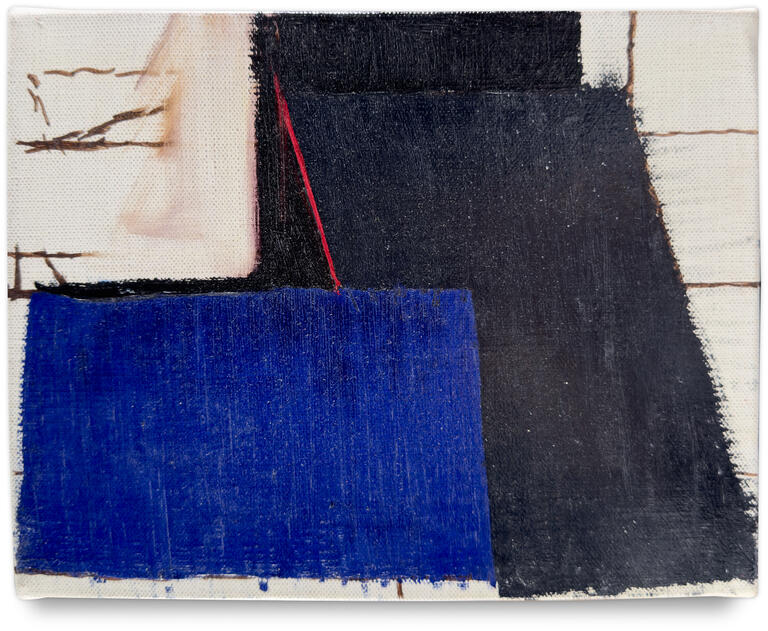 Catalogue raisonné, Michel Mousseau, Pan Bleu, 22 I 1996