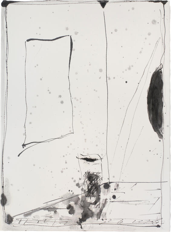 Catalogue raisonné, Michel Potage, SANS TITRE — 2013