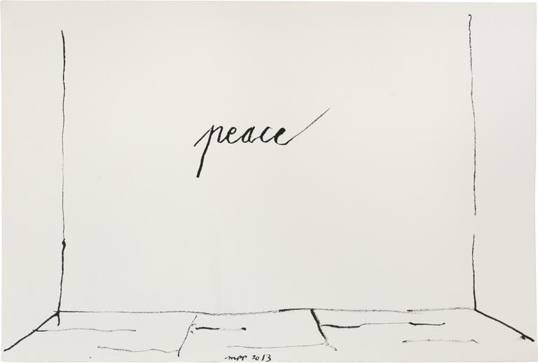 Catalogue raisonné, Michel Potage, SANS TITRE — 2013