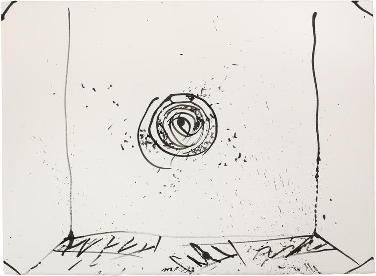 Catalogue raisonné, Michel Potage, SANS TITRE — 2013