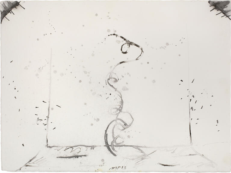 Catalogue raisonné, Michel Potage, SANS TITRE — 2013