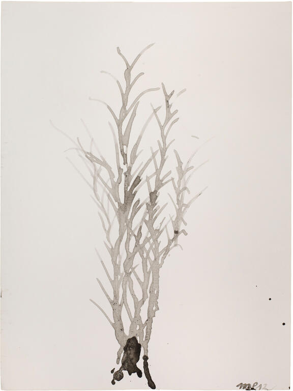 Catalogue raisonné, Michel Potage, SANS TITRE — 2013