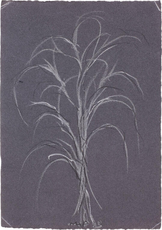 Catalogue raisonné, Michel Potage, SANS TITRE — 2013