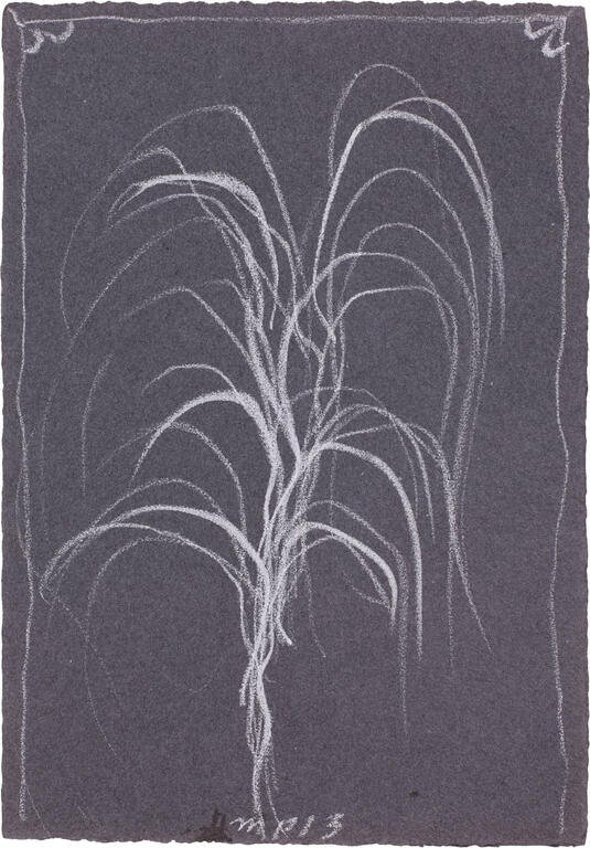 Catalogue raisonné, Michel Potage, SANS TITRE — 2013
