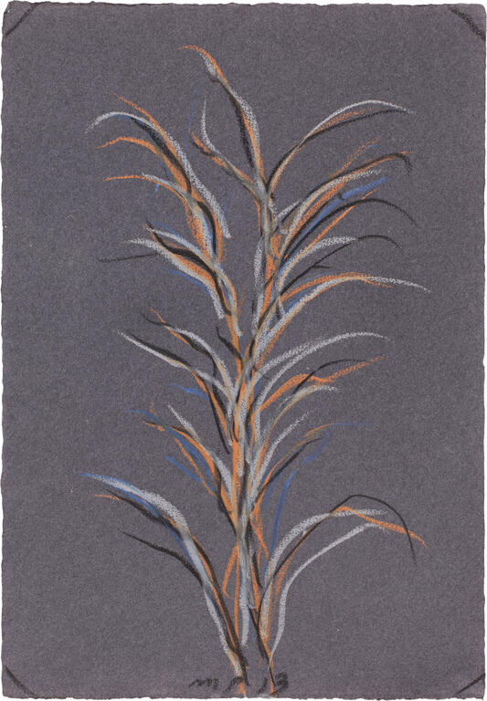 Catalogue raisonné, Michel Potage, SANS TITRE — 2013