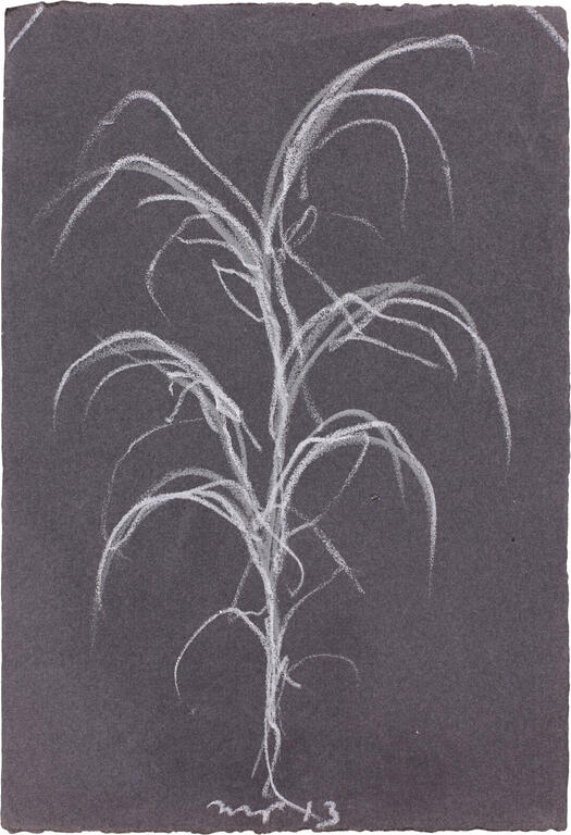 Catalogue raisonné, Michel Potage, SANS TITRE — 2013