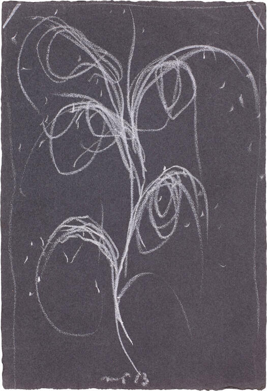 Catalogue raisonné, Michel Potage, SANS TITRE — 2013