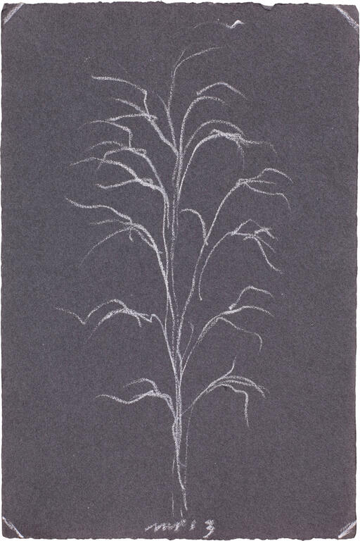 Catalogue raisonné, Michel Potage, SANS TITRE — 2013