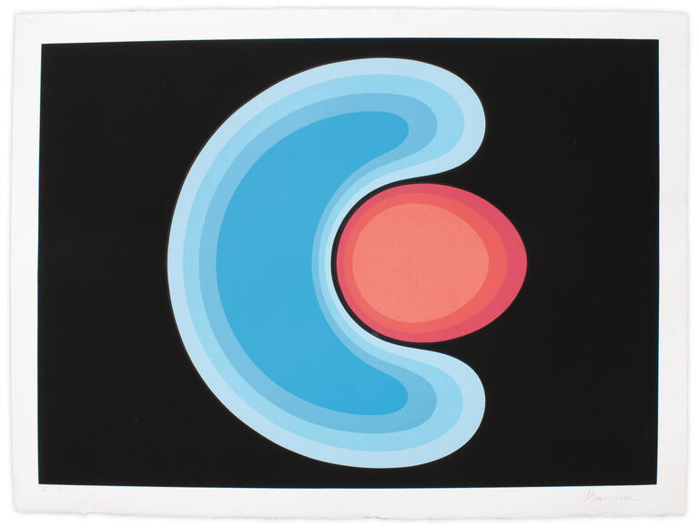 Catalogue raisonné, Henri Baviera, VARIATION EVOLUTIVE — 1974