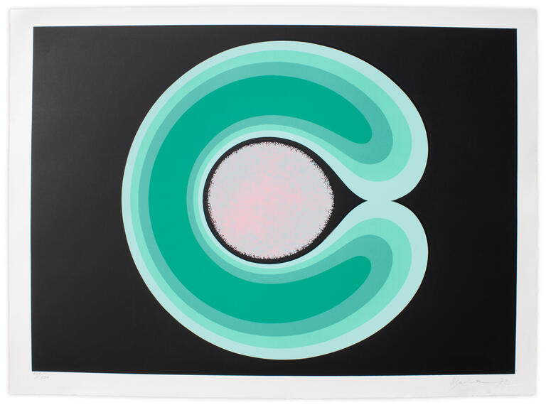 Catalogue raisonné, Henri Baviera, VARIATION EVOLUTIVE — 1974